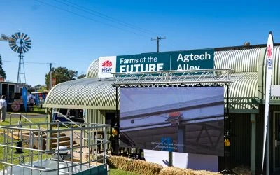 Sustainable Farming at ANFD: Innovation, Education, & Community